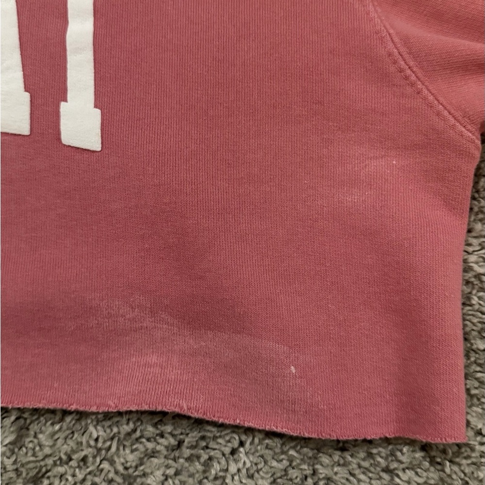 Rare Brandy Melville John Galt Lanikai Cropped Hoodie Pink - Picture 8 of 9